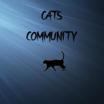 Cats Community!!