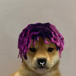 LazyPaul