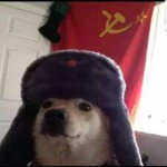 Dog/monkey