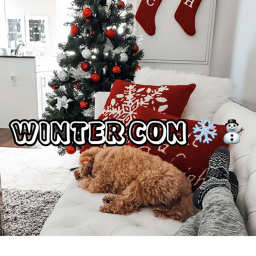 Winter Con⛄❄️