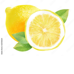 If life gives you lemons make lemonade