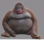 Monke's hideout