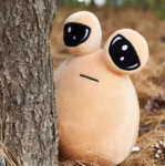 pou reunion