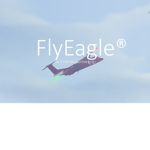 Fly Eagle