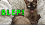 only bleps.