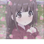 StarXocute