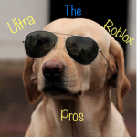 The Ultra Roblox Pros