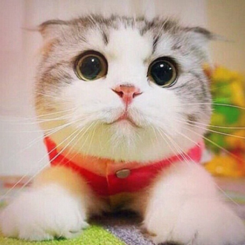 Parkour (big update)