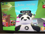 Panda cute club