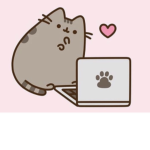 Kayla the kitty!