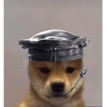 Je vais