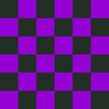Black Purple Checker Roblox decal
