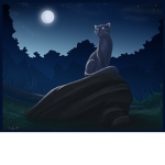 Dramatic_dragon's film crew