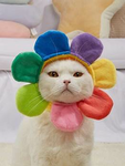 Meow-A-Games