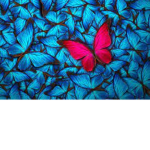 papillon club
