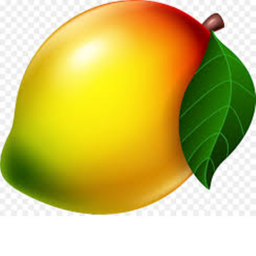 Mango Hangout