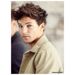 Louis Tomlinson's Biggest Fans <3