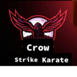 Crow strike karate Dojo