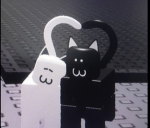 cats ft