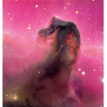 Horsehead Nebula fans
