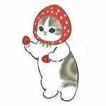 Beary’s Cafe