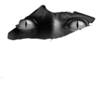 eyes’