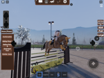 Golden Butterfly Riders