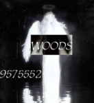 BACK WOODSS