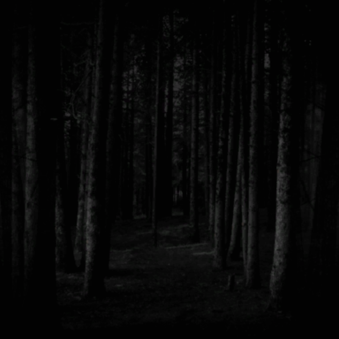Dark gothic woodlands