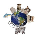Cats will rule the planet