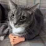 Huh?_