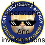 CIA specail operations and investigations division