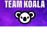 The Koalas Team