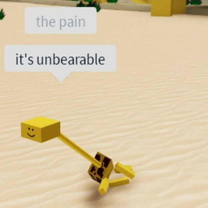 meme Roblox decal