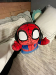 SpiderWebMan