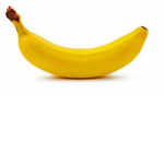 Floppa Farters