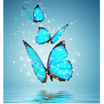-Butterfly Hangout-