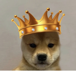Dogggy squad only
