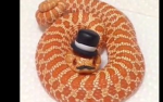 Da Tophat Snakes