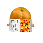 T H I C C Orange Fan Club