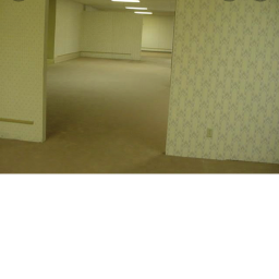 backrooms [beta]
