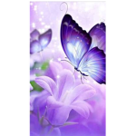 Flower Kindness