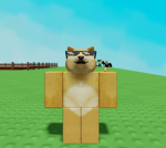 DOGE GROUP3000 THE BEST DOGES ARE IN IT