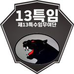 BRM5ㅣ13th Special Mission Brigade