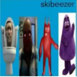 skibeezer concert