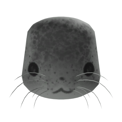 grey seal head