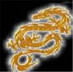 Golden Dragon Ninjas