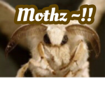 Mothz ~!!