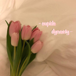 - cupids dynasty - Group Thumbnail