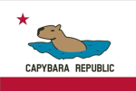 The growth of the capybaras